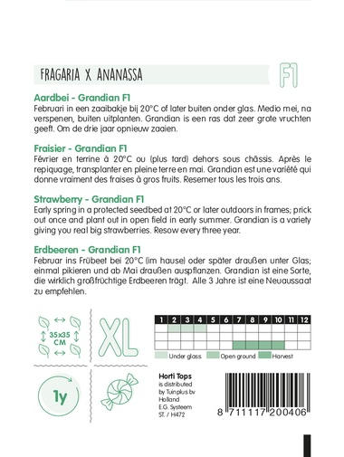 Horti Tops® Erdbeeren Grandian F1