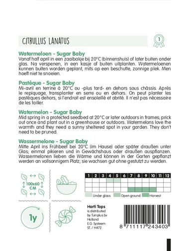 Horti Tops® Zuckermelonen Charentais