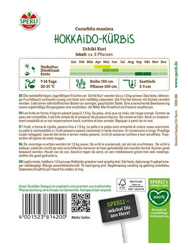 Hokkaido-Kürbis Uchiki Kuri