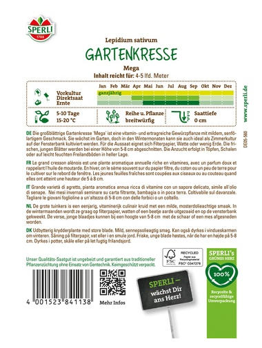 Gartenkresse Mega