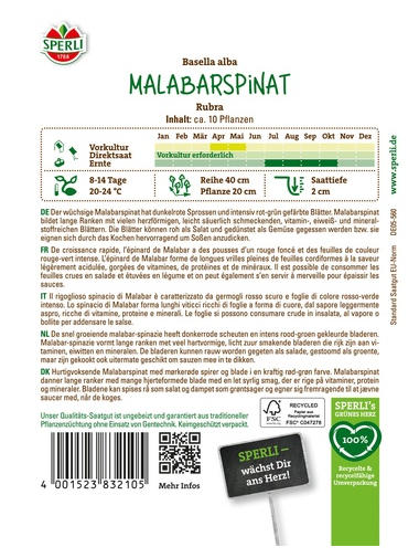 Malabarspinat Rubra