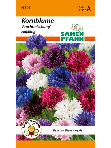 Kornblume Prachtmischung einjährig