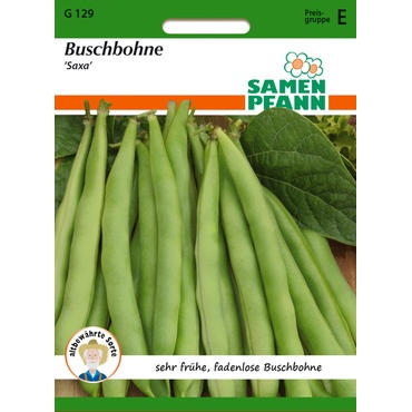 Buschbohne Saxa