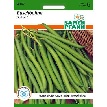 Buschbohne Soliman