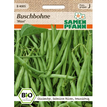 Bio Buschbohne  Maxi