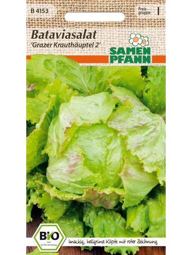 Bio Bataviasalat Grazer Krauthäuptel 2