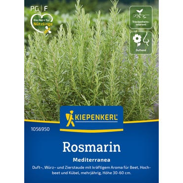 Rosmarinsamen Mediterranea