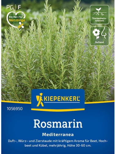 Rosmarinsamen Mediterranea