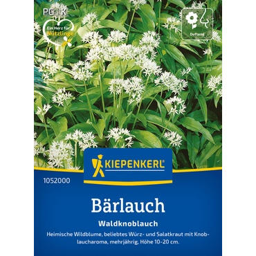 Bärlauchsamen Waldknoblauch