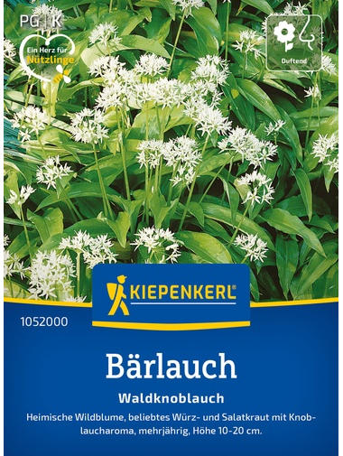 Bärlauchsamen Waldknoblauch