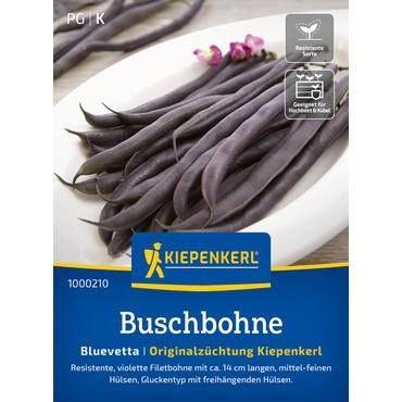 Buschbohnensamen Bluevetta