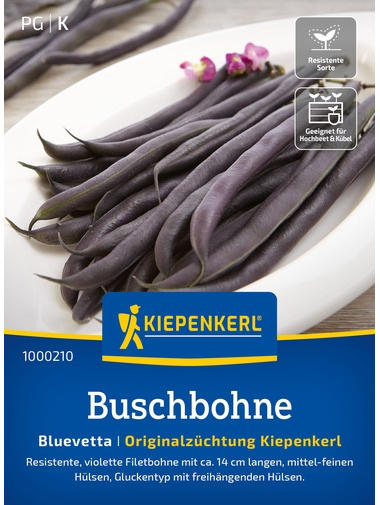 Buschbohnensamen Bluevetta