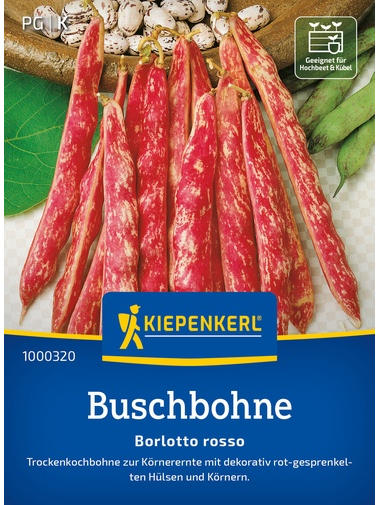 Buschbohnensamen Borlotto Rosso