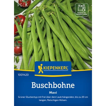 Buschbohnensamen Maxi