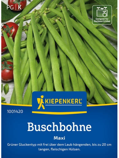 Buschbohnensamen Maxi