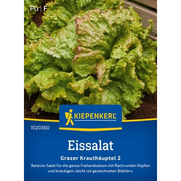 Eissalatsamen Grazer Krauthäuptel 2