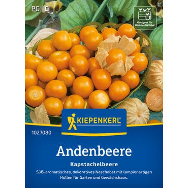 Andenbeerensamen Kapstachelbeere