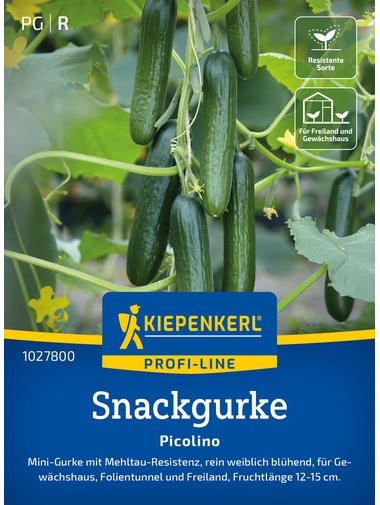 Snackgurkensamen Picolino