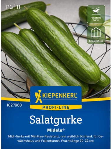 Salatgurkensamen Midele®