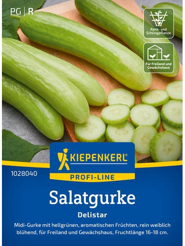 Salatgurkensamen Delistar