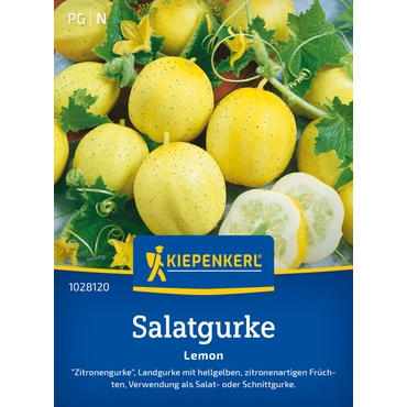 Salatgurkensamen Lemon