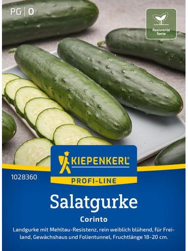 Salatgurkensamen Corinto