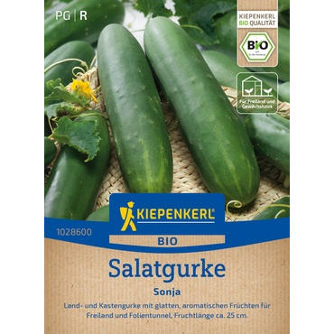 Salatgurkensamen Sonja