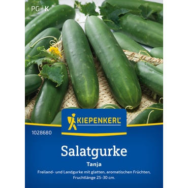 Salatgurkensamen Tanja