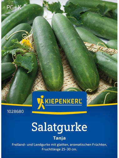 Salatgurkensamen Tanja