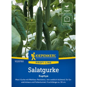 Salatgurkensamen Euphya