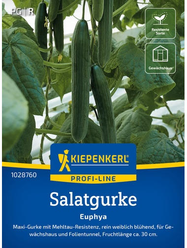 Salatgurkensamen Euphya