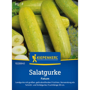 Salatgurkensamen Fatum