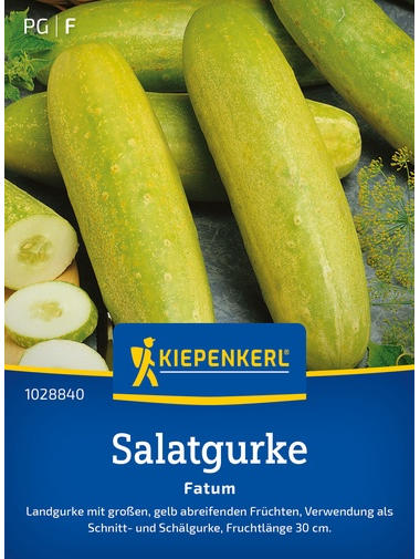 Salatgurkensamen Fatum