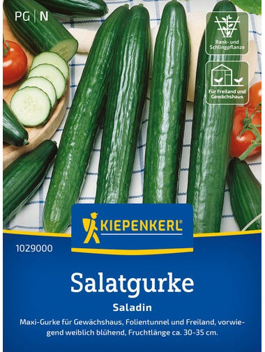 Salatgurkensamen Saladin