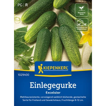 Einlegegurkensamen Excelsior