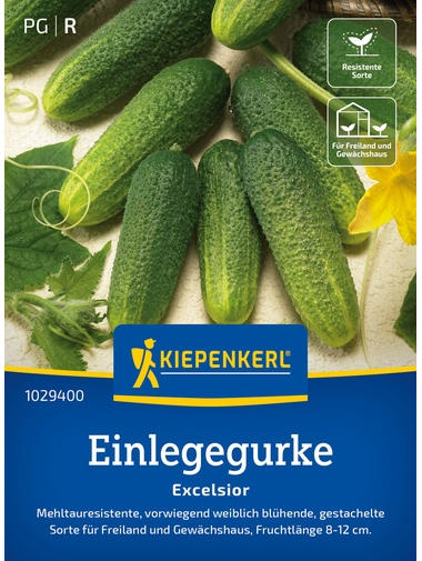 Einlegegurkensamen Excelsior