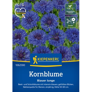 Kornblumensamen Blauer Junge