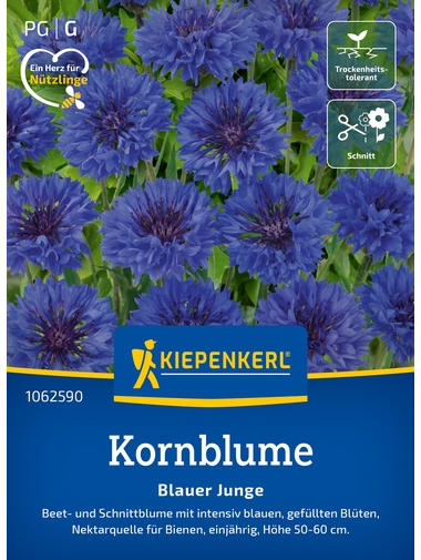 Kornblumensamen Blauer Junge