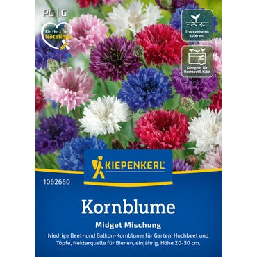 Kornblumensamen Midget Mischung