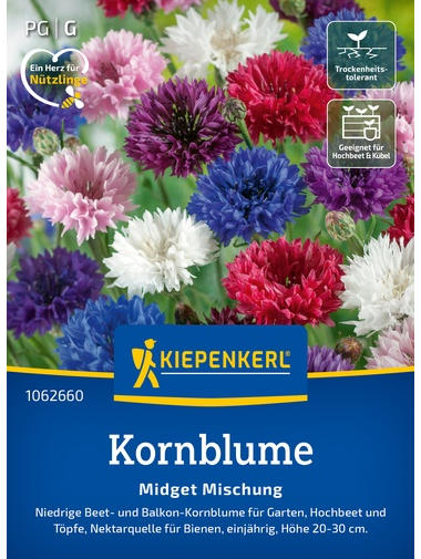 Kornblumensamen Midget Mischung