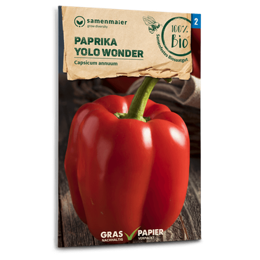 Paprika Yolo Wonder,grün rot abreif.