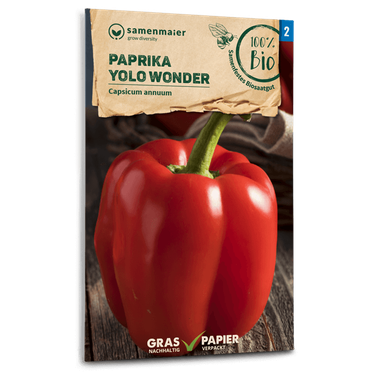 Paprika Yolo Wonder,grün rot abreif.