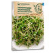 Keimsprossen Microgreens Rettich Mino Early