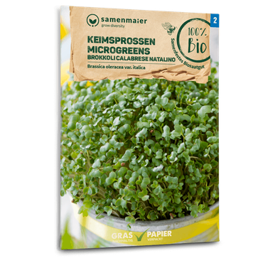 Keimsprossen/Microgreens Brokkoli Calabrese natalino