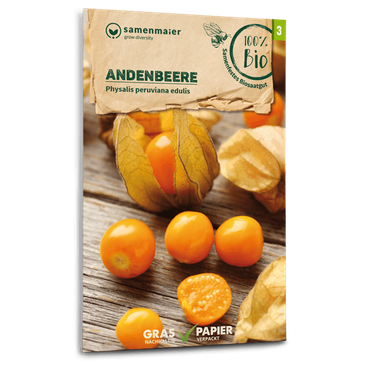 Andenbeere