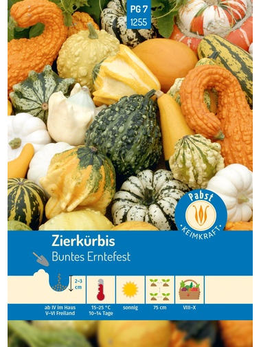 Zierkürbis, Buntes Erntefest