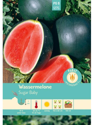 Wassermelone, früh & kleinfrüchtig, Sugar Baby