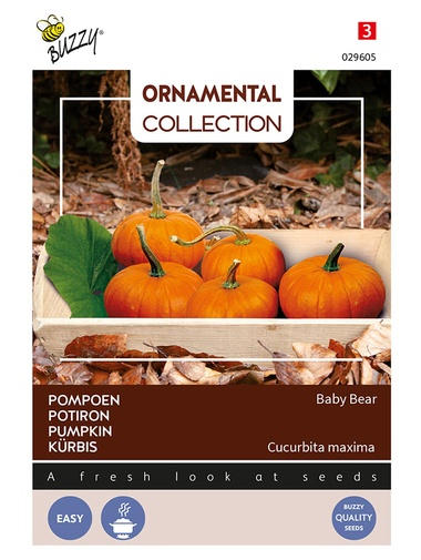 Buzzy® Ornamental Kürbis Baby Bear