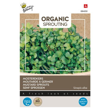 Buzzy® Organic Sprouting Senf Sprossen (BIO)