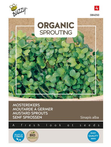 Buzzy® Organic Sprouting Senf Sprossen (BIO)